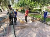 Tuổi trẻ DLA xung kích “Chăm sóc công trình Ghi công liệt sĩ Tỉnh”