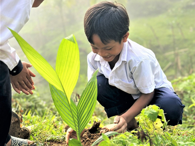 Tiếp tục tổ chức việc trồng cây trong ngành Giáo dục